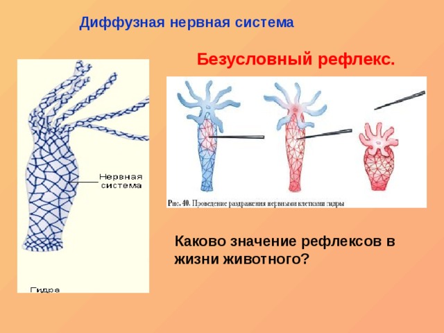 Ссылка на кракен тор kr2web in